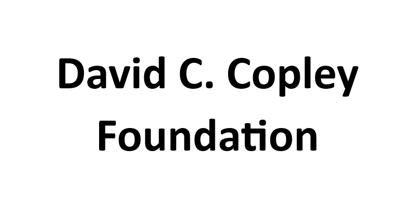 DCC Foundation