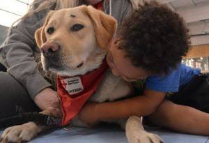 Young boy hugging a dog with tan fur.  Dog is wearing a Red Cross bandana.