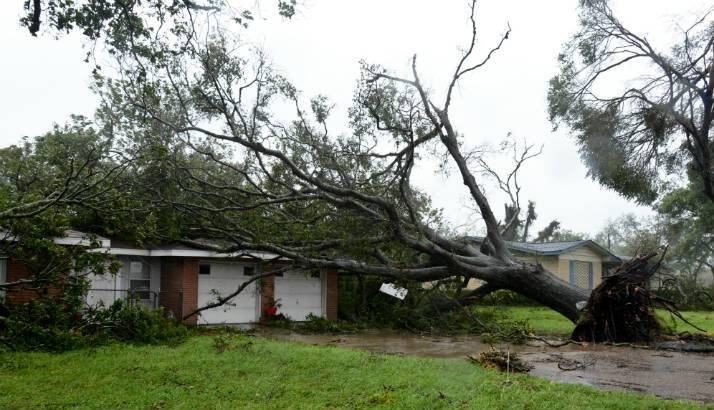 Hurricane Harvey - Tree fallen on house after the hurricane