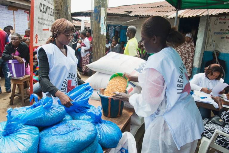 Ebola-africa-women-providing-food-supplies