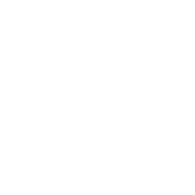 Person in shelter icon