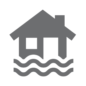Home in flood water icon