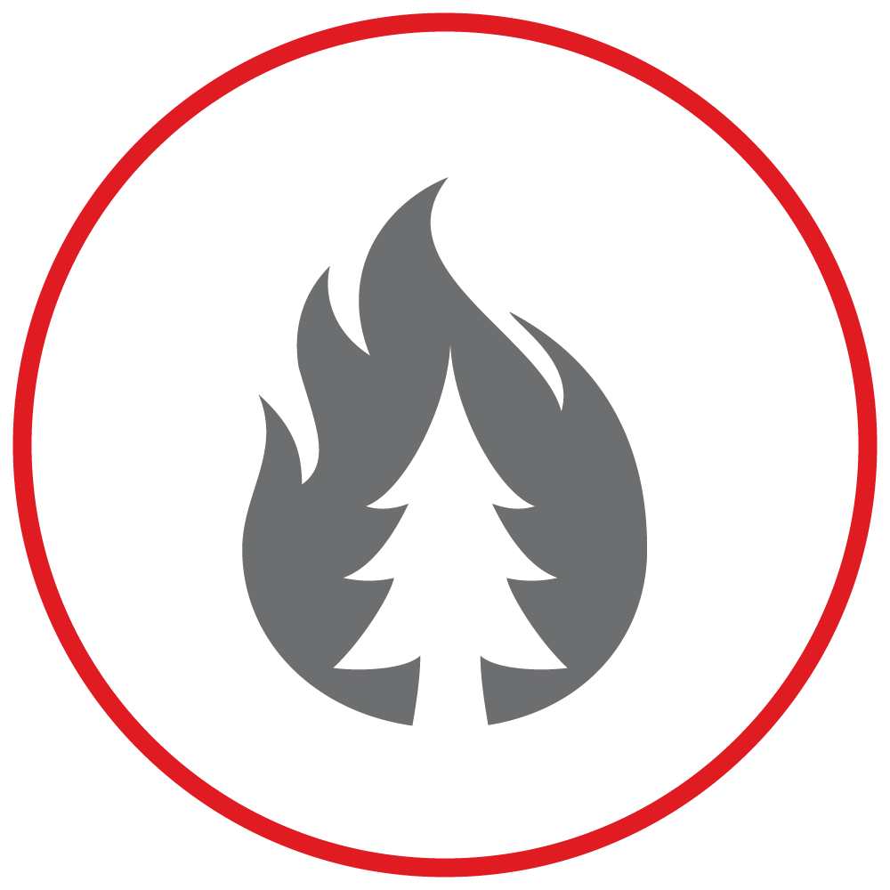 icon of wildfire