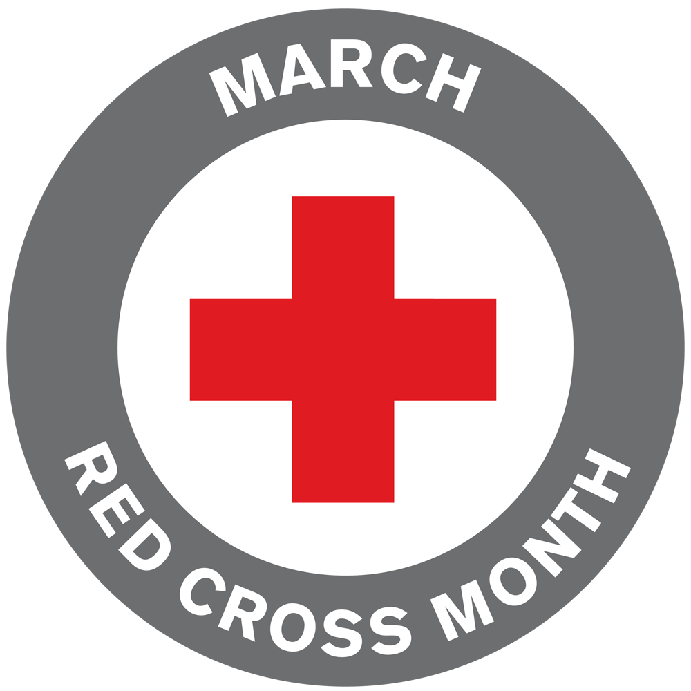 MARCH IS RED CROSS MONTH American Red Cross pin  REDUCED 