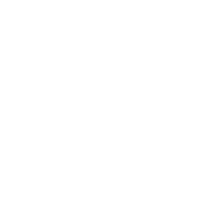 Syringe icon