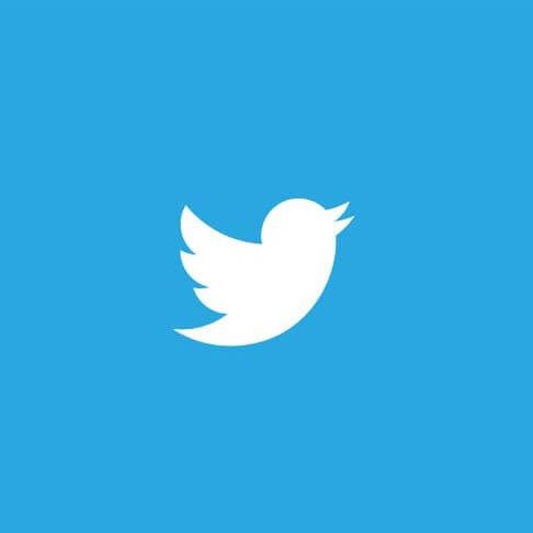 Twitter social media icon