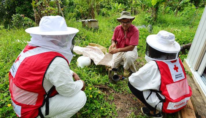 Red Cross volunteers talking to a farmer outside.