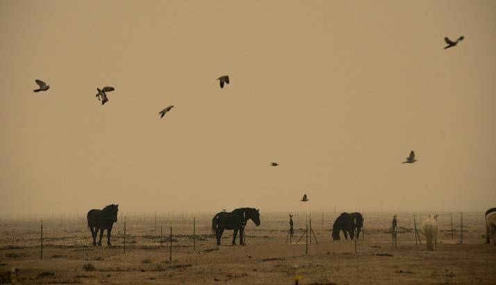 The smoke choked sky changes the daylight to an indescribable hue.