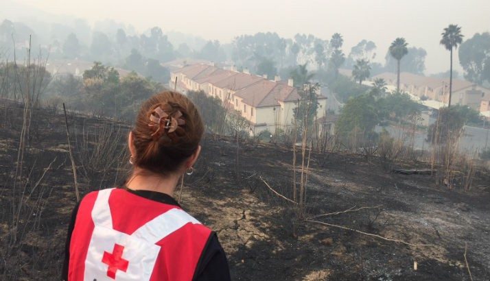 A Red Cross volunteer surveying the disaster damage.