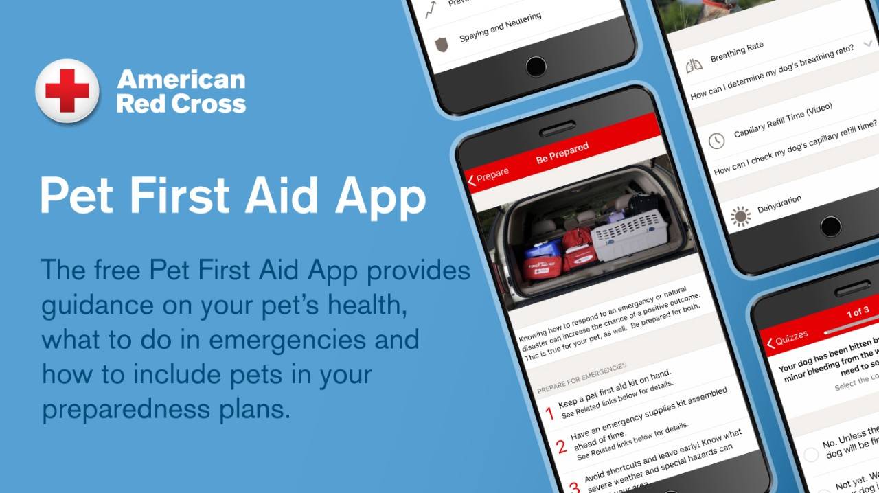 Check Out the New and Improved Red Cross Emergency App