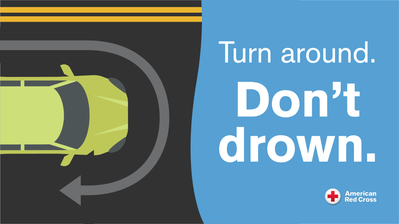 Turn around. Don't drown.