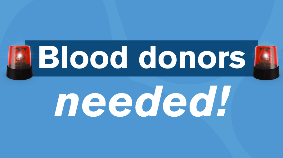 the importance of donating blood essay