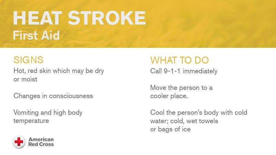 Signs of Heat Stroke and What to Do