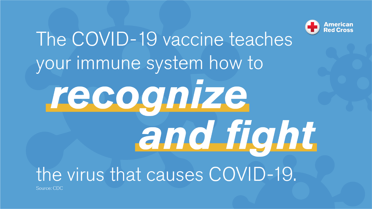 Covid 19 Cdc Says Fully Vaccinated People Can Travel