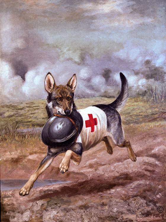 This Alexander Pope painting depicts a battle scene of a World War I Red Cross dog carrying the helmet of a wounded French soldier.