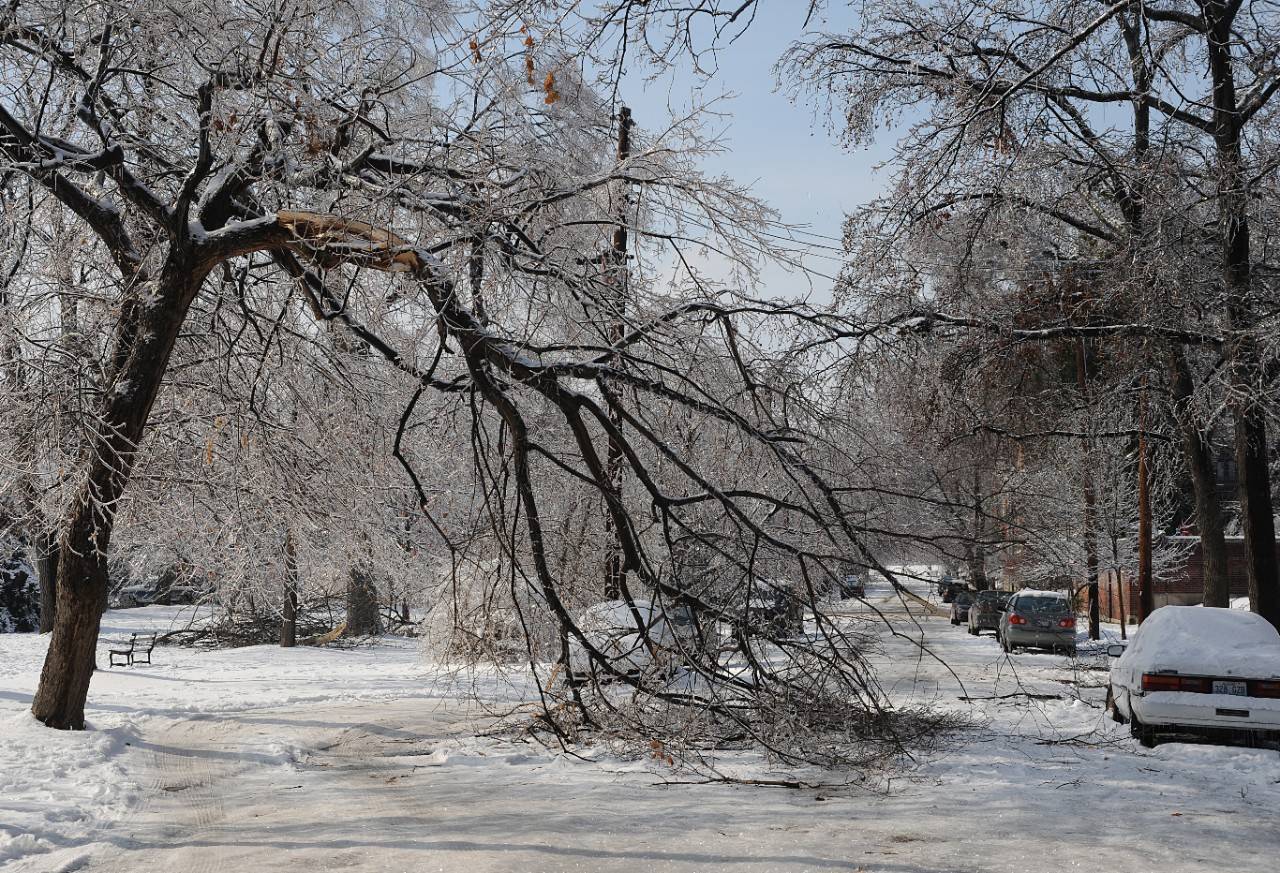 An ice storm left a thick coating of ice on trees, shrubs, cars and power lines in Louisville, KY, plunging residents into the cold and darkness when the power went out.