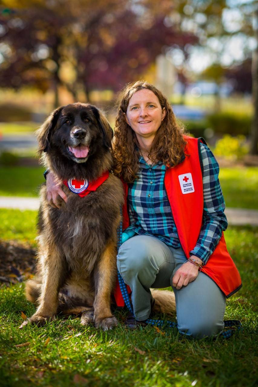 November 16, 2021. Walter Reed National Military Medical Center, Bethesda, Maryland.  Digory is so calm and so big. The big soldiers love seeing him,  said Red Cross animal visitation volunteer Jen O Keefe about her seven-year-old Leonberger. 

Jen and Digory visit patients and staff at Walter Reed National Military Medical Center in Bethesda, Maryland. 

 This is the most rewarding thing I do. There's nothing else in my life where I walk in a room and everybody smiles. 

O Keefe says that the first time she volunteered with her dog, she visited dementia patients.  All of a sudden, everyone s face lit up. Before they saw the Digory, these people didn t appear to be interested in anything. They sat with blank faces and weren t communicating,  she said. 

All of that changed with the arrival of the animal visitation dogs.  All of a sudden the patients are talking,  O Keefe said.  I may not have understood what they were saying but there was a connection there. Everyone lit up,  she said. 

 I decided, oh my gosh, we have to do this every day. And I've been hooked as a volunteer ever since.  O Keefe, who grew up as a self-described Air Force brat, feels that this role is the perfect way to give back to the military community.  With this volunteer role, it feels like life has come back full circle,  she said. 

O Keefe says that several years ago, Digory battled a rare form of cancer, which resulted in the amputation of one of his hind leg.  Often people don t notice that he s an amputee. We do have some wounded warriors that are like,  hey, look, we were missing the same leg,   she said, noting that he feels a special connection with wounded service members. 

 Digory loves what he does, and I'm just so glad that he can still do it and bring joy to so many,  O Keefe concluded.

As part of the American Red Cross animal visitation program, Digory visits wounded or ill military members, veterans, caregivers and their families. Animal visitation teams like this one are act