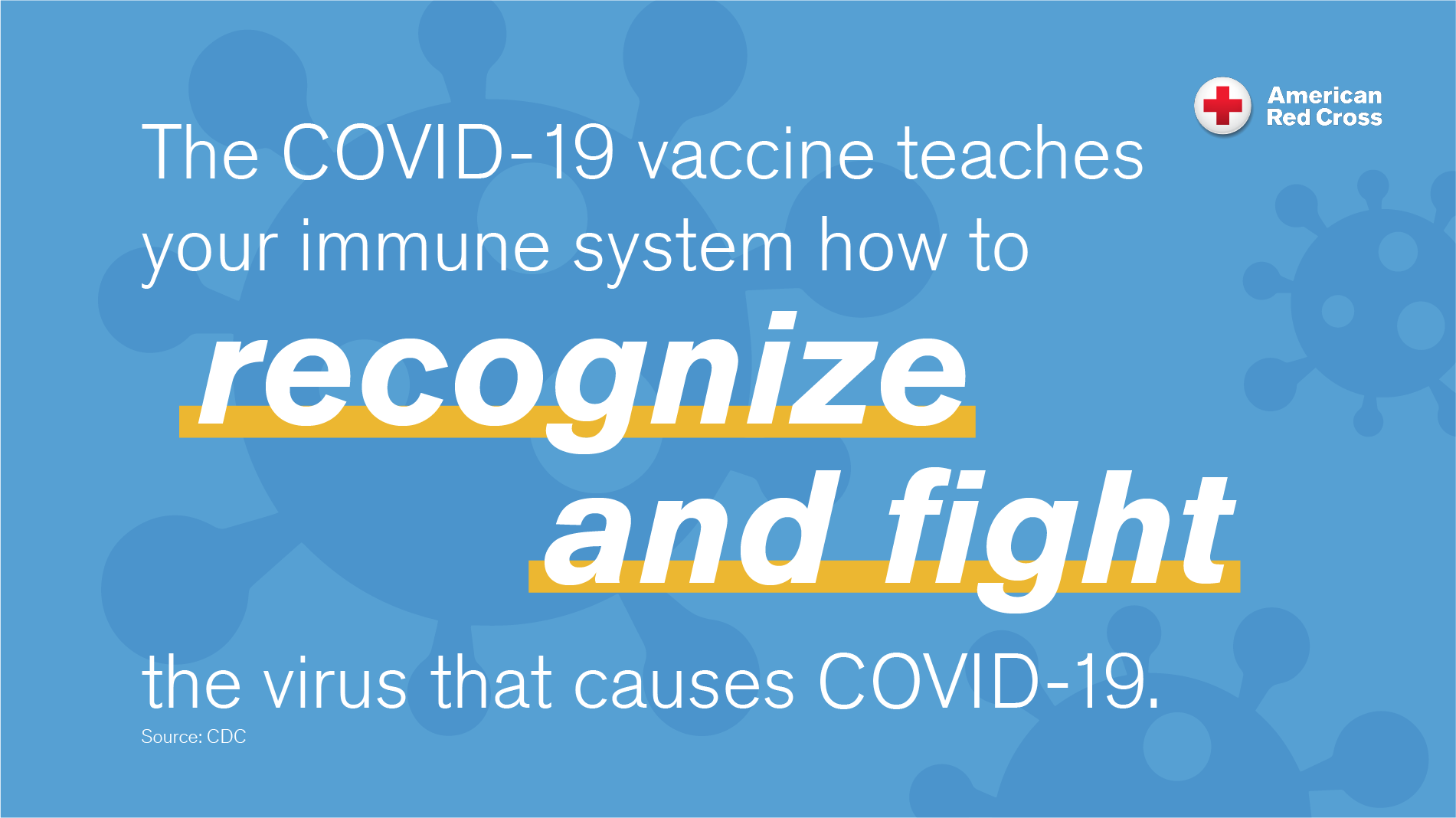 The COVID-19 vaccines are effective at keeping you from getting COVID-19