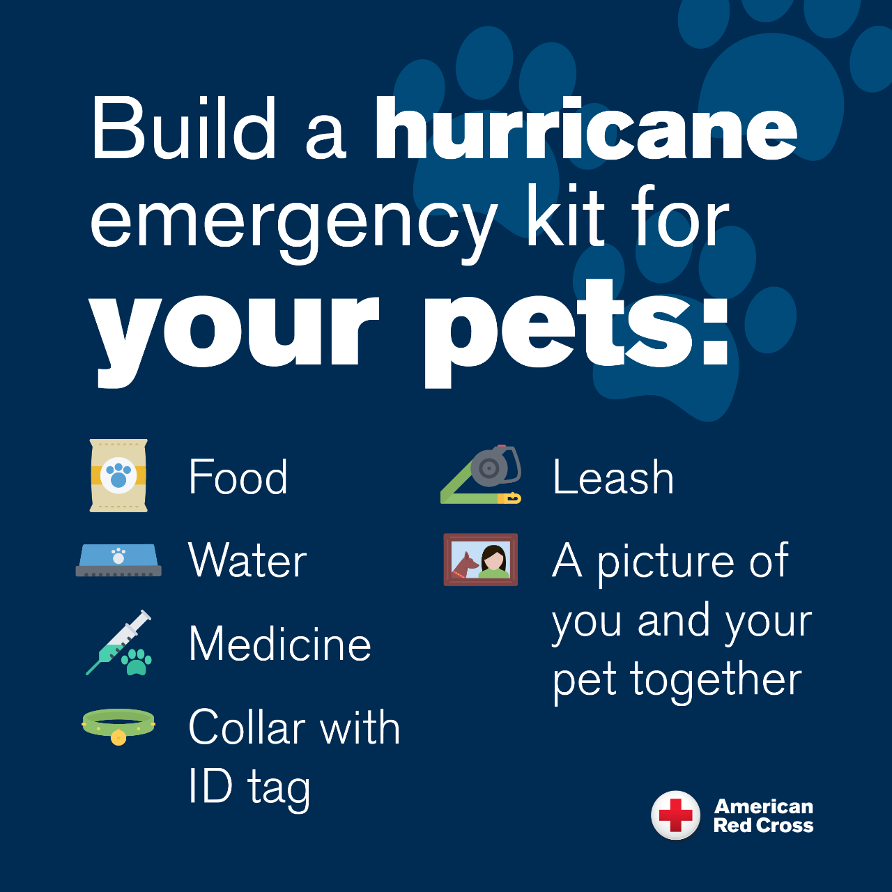 III. Creating a Pet Emergency Kit