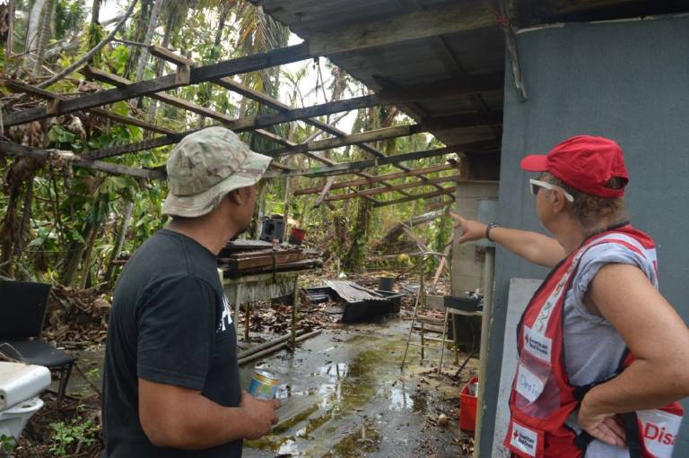 trained Red Cross DA teams