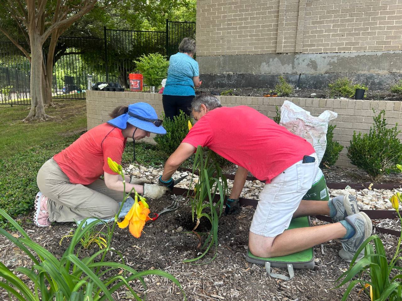 Voluntarios de la Cruz Roja plantan jardín y micro-huerto en Texa