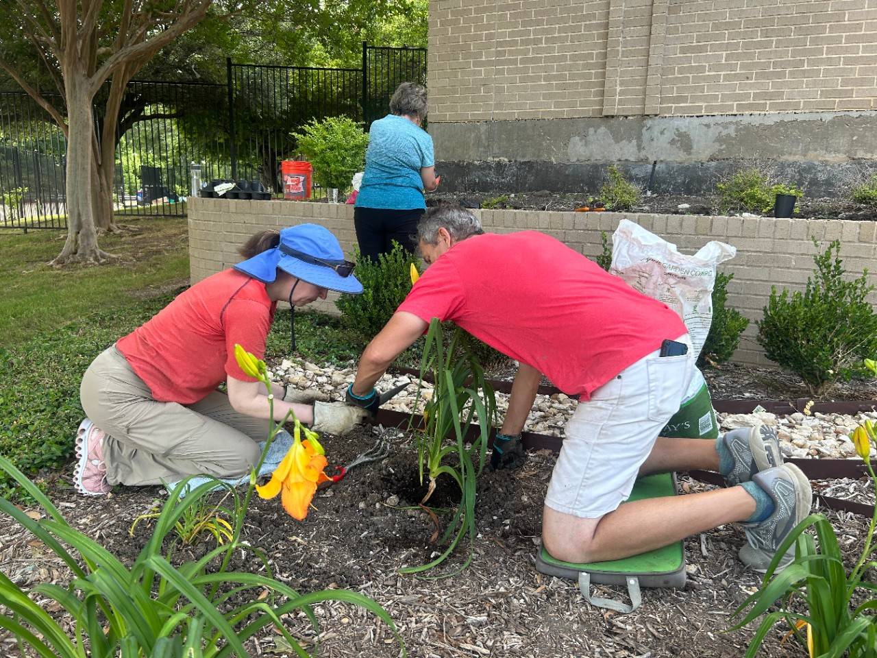Red Cross Volunteers Plant a Garden