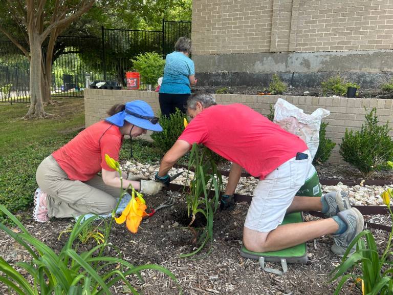 Red Cross volunteers collaborated with each other to extend the garden