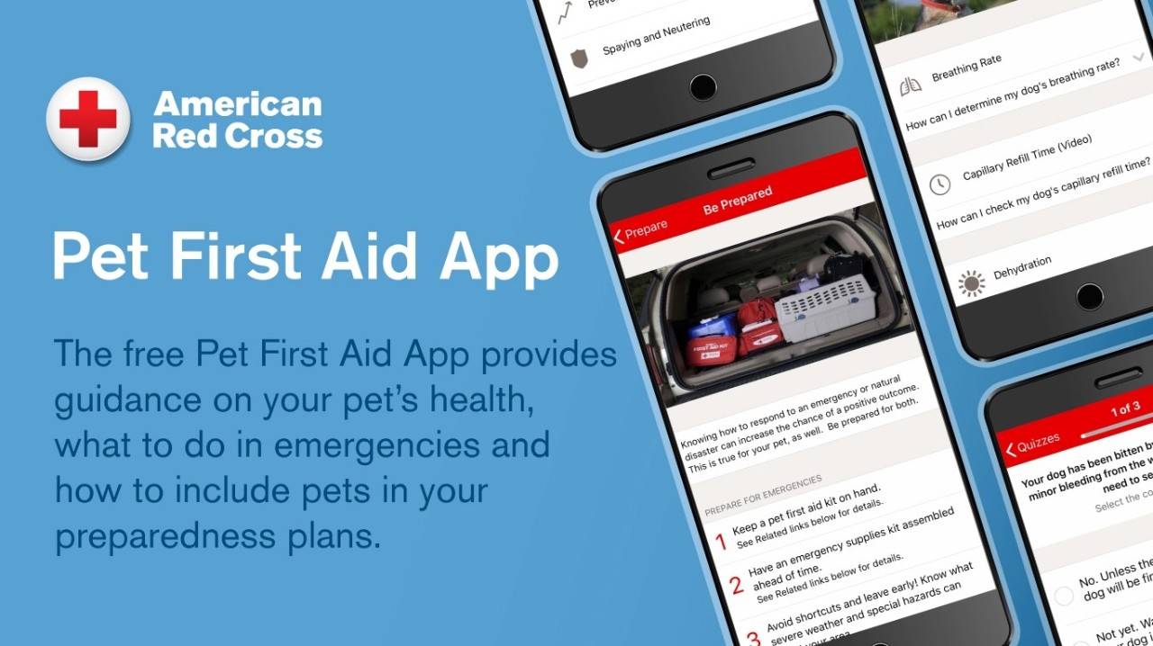 The American Red Cross has an app and online class to let pet owners know what they should do to help their furry friends until they can get to their veterinarian.