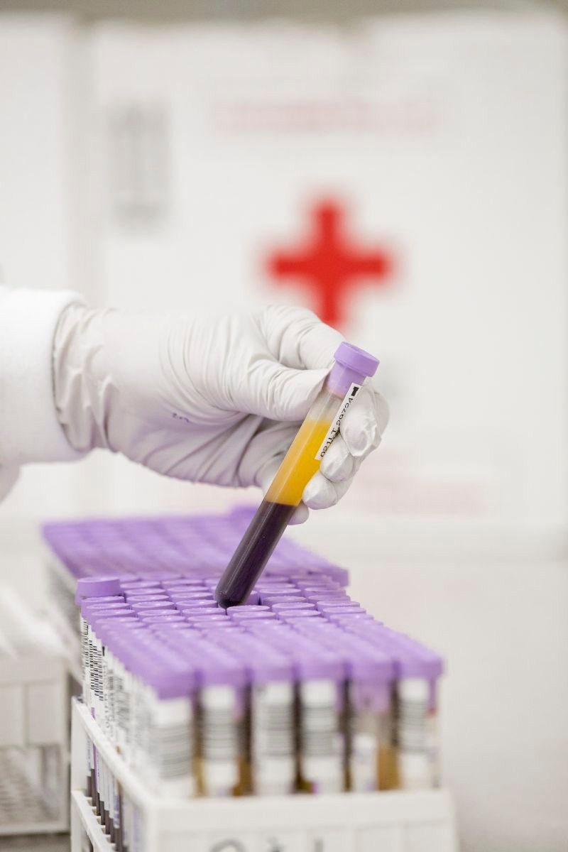 members of a local red cross chapter