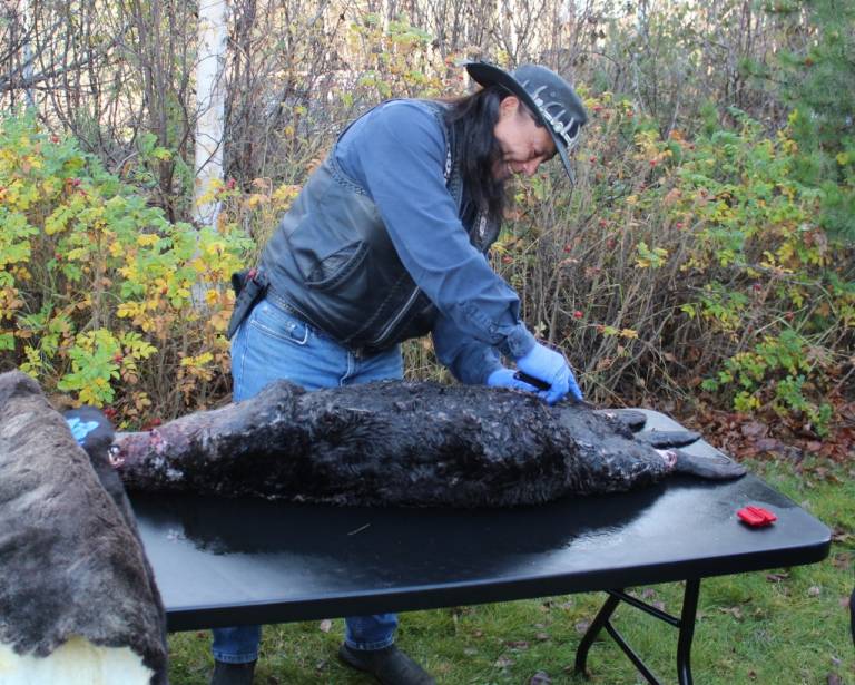 Man prepares to butcher seal