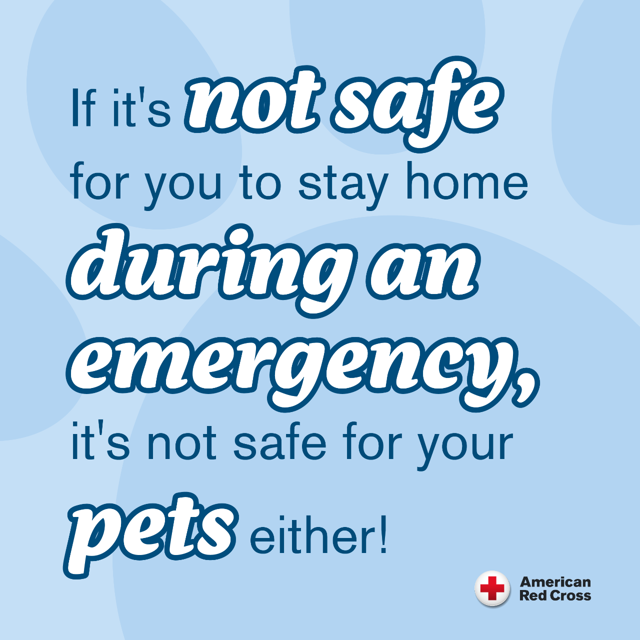 Graphic on you and your pet staying safe in a disaster