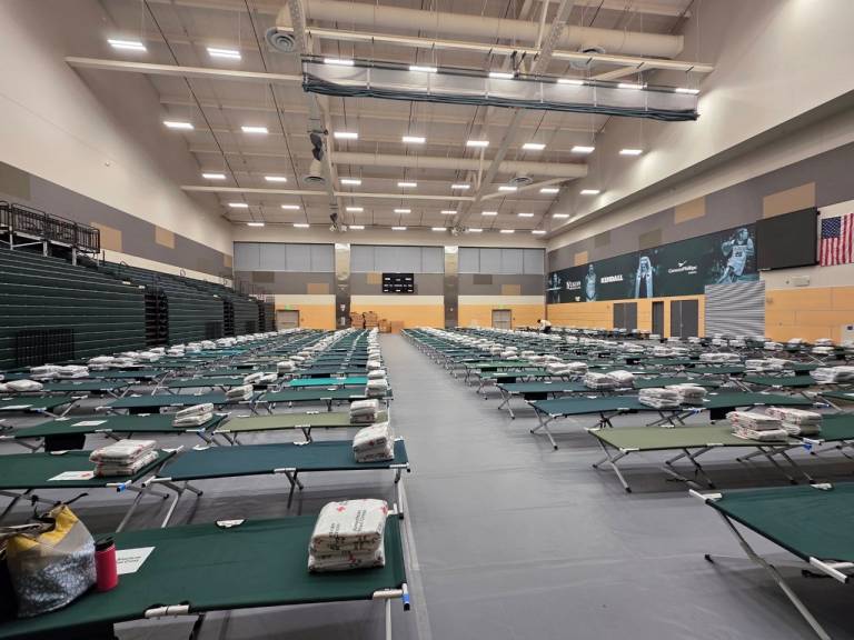 rows of cots in a Red Cross shelter