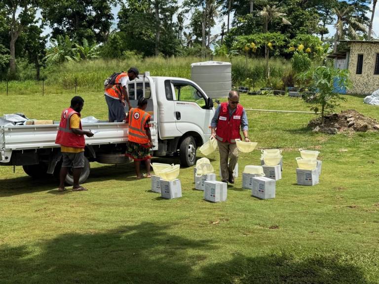 Four Red Cross members unload a truck full of supplies and place stacks on the grass.