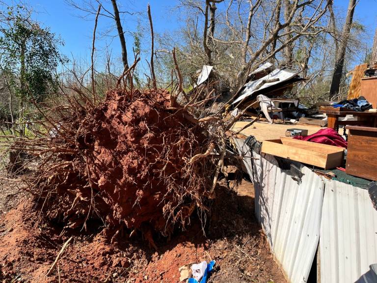 Escombros tras la tormenta y el mal tiempo