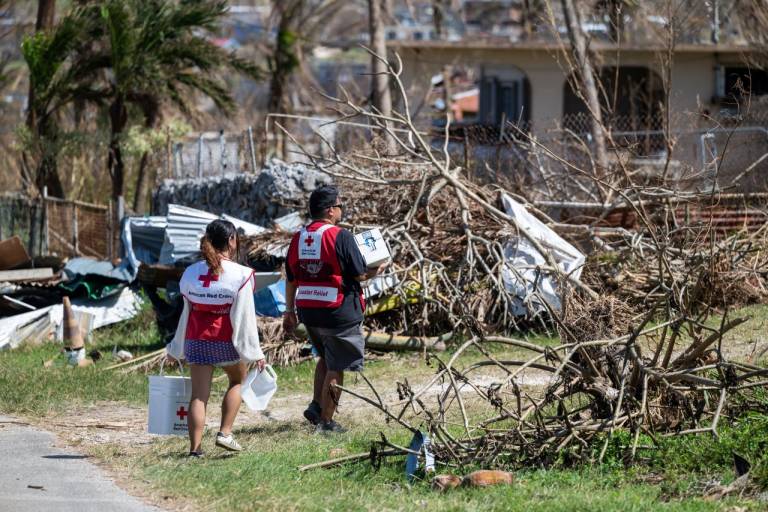 Two women in Red Cross vests walk through downed trees carrying relief supplies.