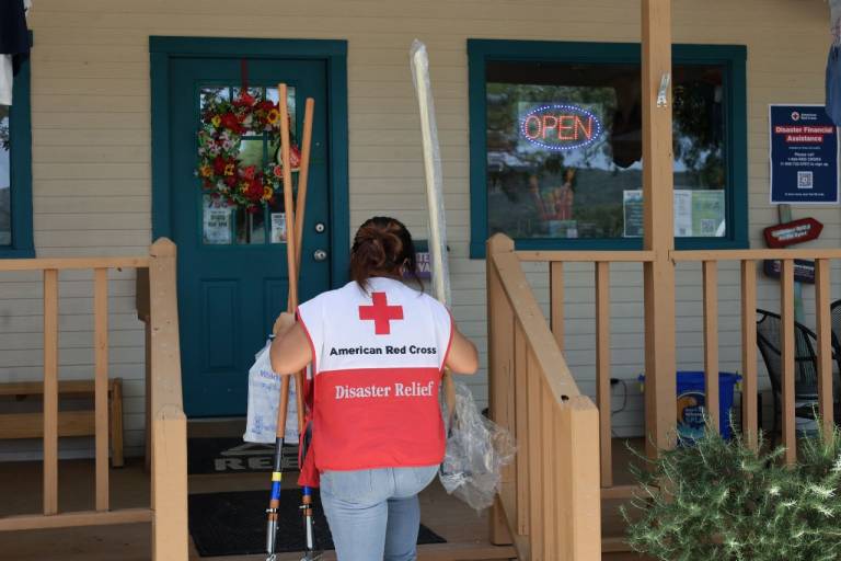 A woman in a Red Cross vest carries relief supplies.