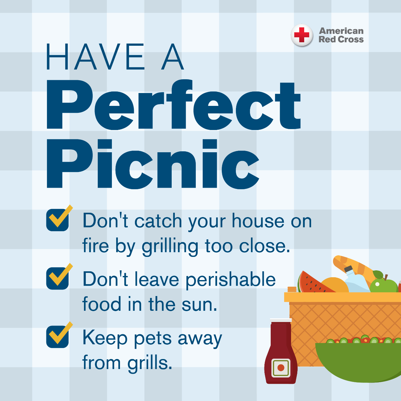 Graphic outlining tips for a safe picnic