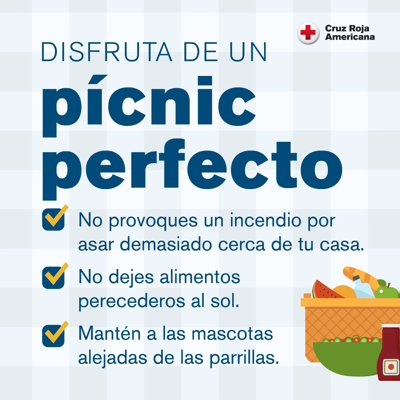 Gráfico con consejos para un pícnic seguro