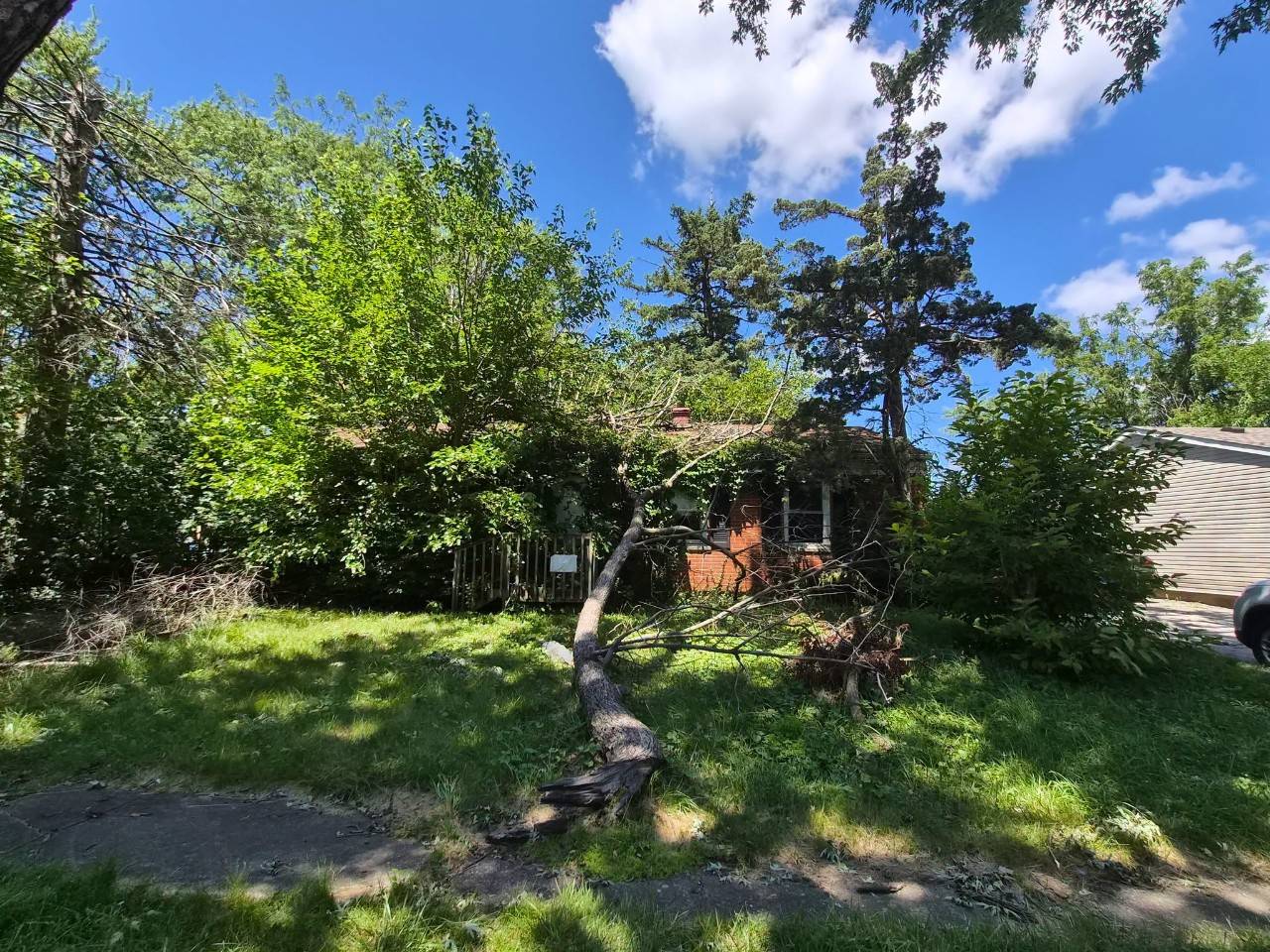 An uprooted tree lays up against a home.
