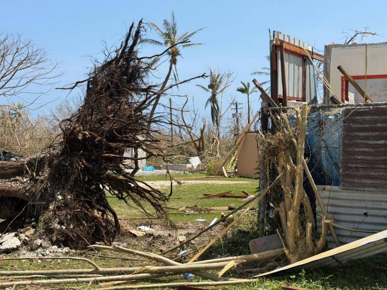 Large trees lay in the street, pulled out by their roots.