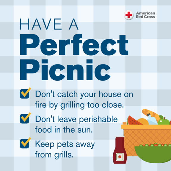 Graphic outlining safety steps for your picnic..