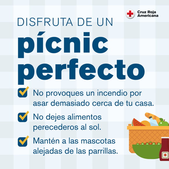 Gráfico con medidas de seguridad para su pícnic.