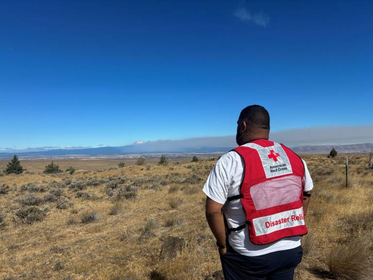 Man in Red Cross vest stands at the side of a road.