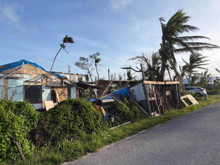 A destroyed home with pieces of blue roof tarp also visible.
