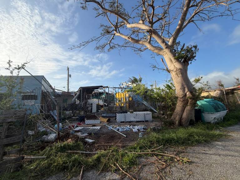 A tall, bent tree looms over a destroyed home.