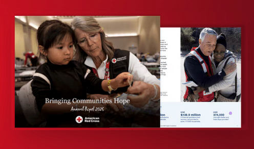 group of 2025 annual report images