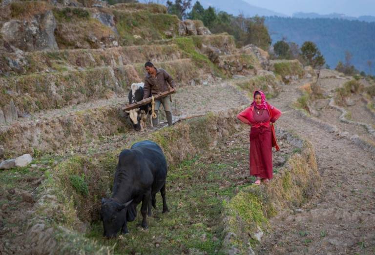 8 incredible photos to honor World Red Cross and Red Crescent Day