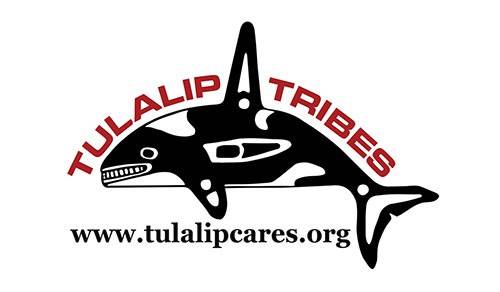 20064_TT_Logo_for_Grant_Recognition