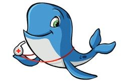 Longfellow the Whale