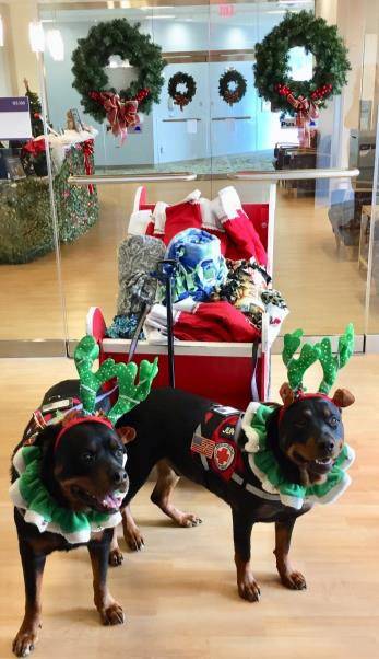 Send Christmas Cards To Walter Reed 2022 Holidays For Heroes: National Capital & Greater Chesapeake Region | Red  Cross
